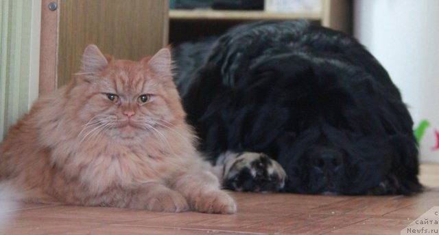 Фотография № 113804