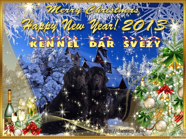 Фотография № 113807