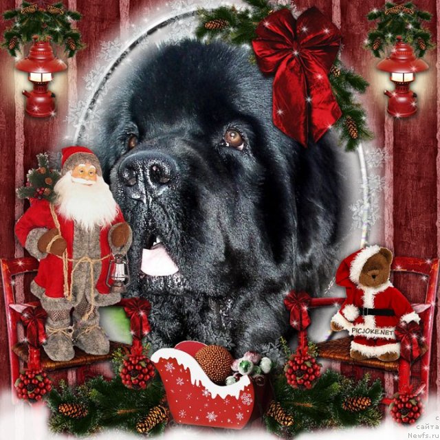 Фотография № 113820