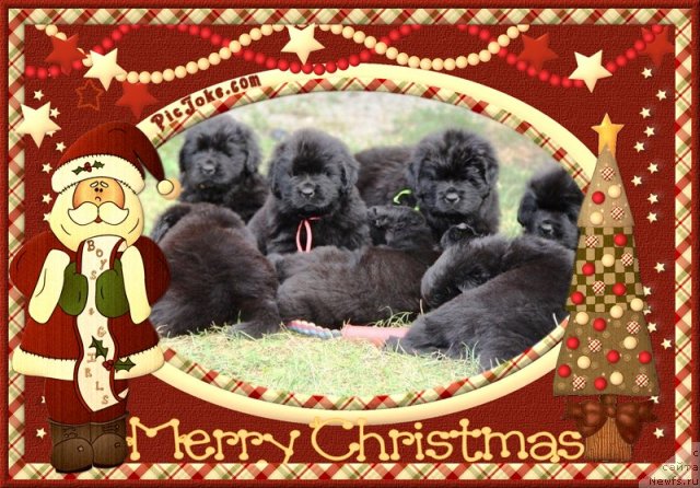 Фотография № 113821