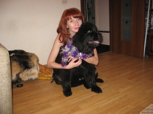 Фотография № 113848