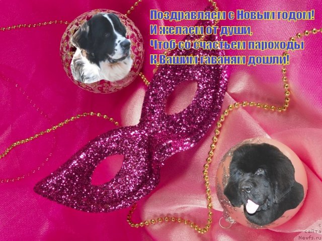 Фотография № 113855