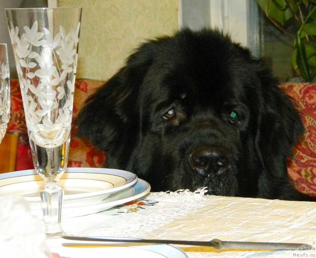 Фотография № 113880