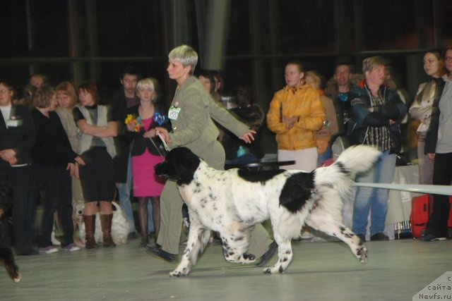 Фотография № 113900