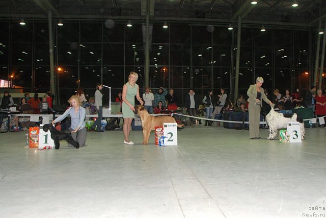 Фотография № 113901