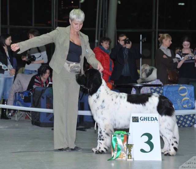 Фотография № 113902