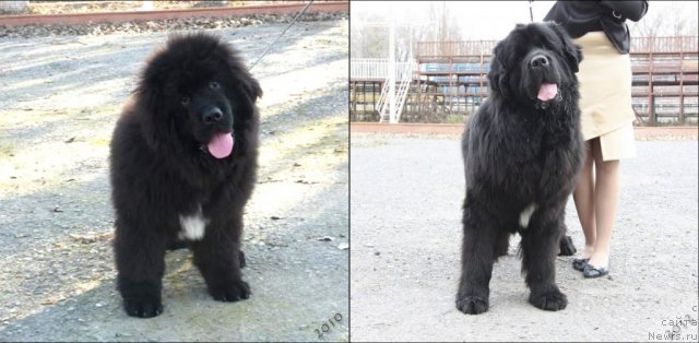 Фотография № 113903