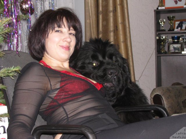 Фотография № 113925