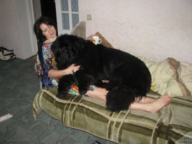 Фотография № 113926