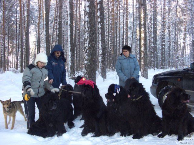 Фотография № 113948