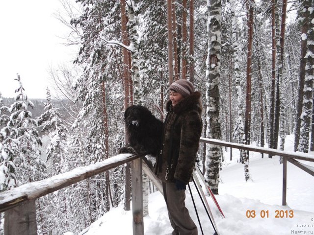 Фото: Галия Гизатуллина