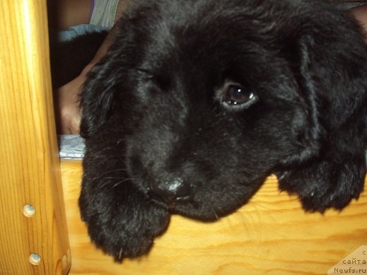 Фото: Ангелина Скиба