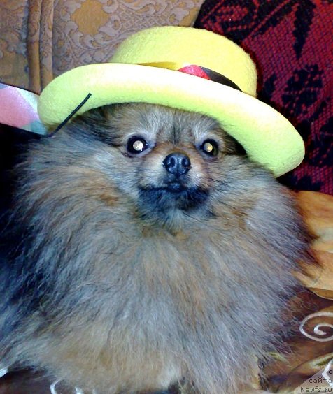 Фотография № 114058