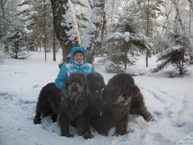 Фото: Татьяна Шайдук, ньюфаундленд Черный Шарм Амбер Бест Дог ФО Марлеон, ньюфаундленд Аквамариновая Красотка для Марлеон, ньюфаундленд Княжна в Черном от Марлеон Дусвик