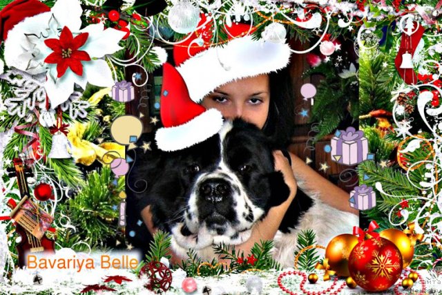 Фотография № 114147