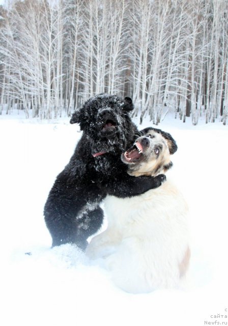 Фотография № 114162