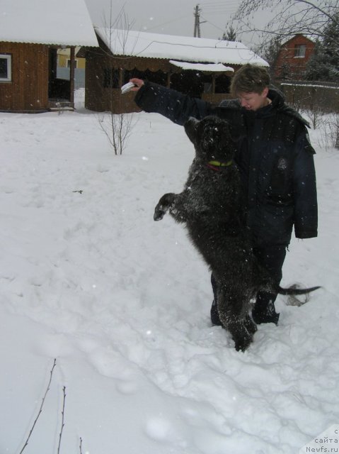 Фотография № 114252