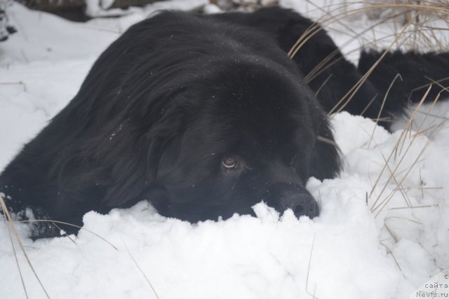 Фотография № 114284