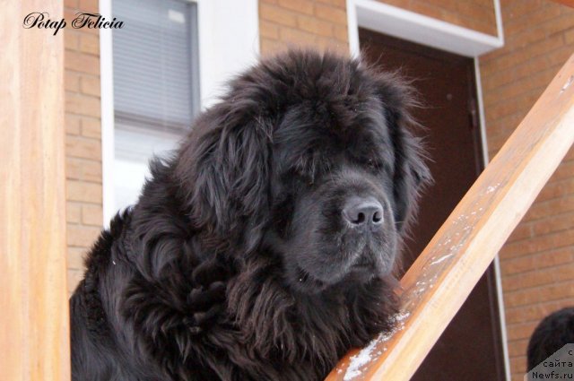 Фотография № 114299