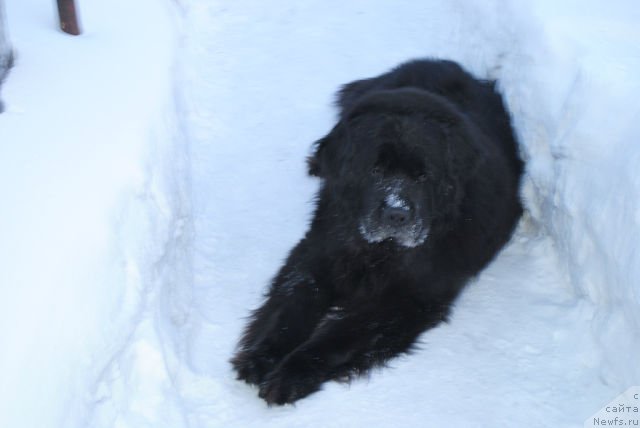 Фотография № 114342