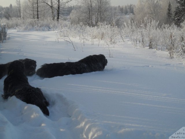 Фотография № 114346