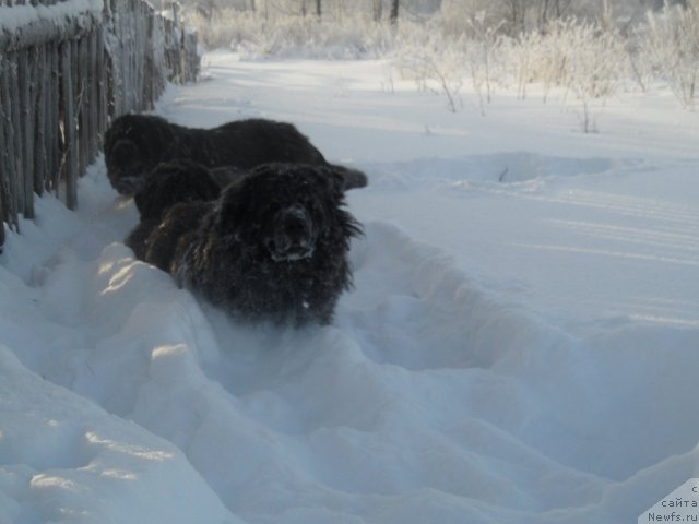 Фотография № 114347