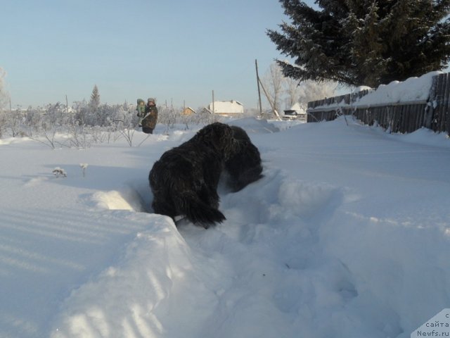 Фотография № 114349