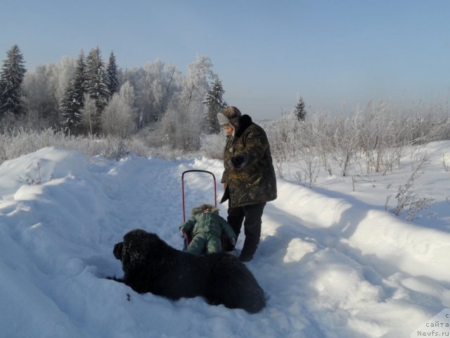 Фотография № 114351