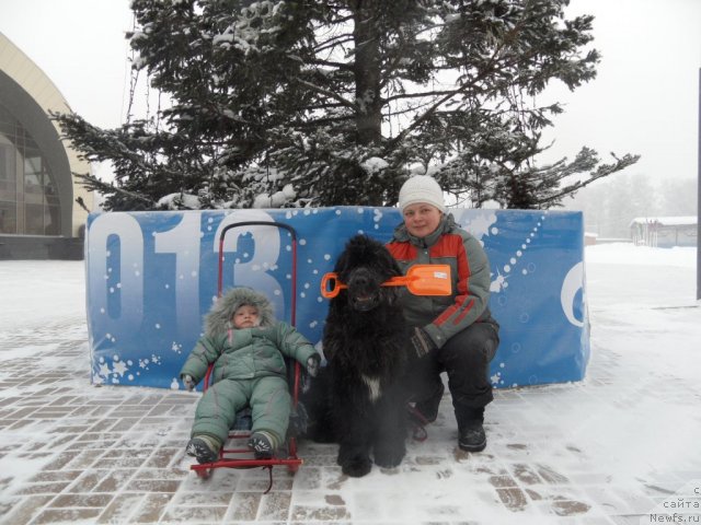 Фотография № 114352