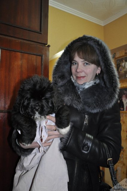 Фото: Кара Аюлар Winter Snowflake с хозяйкой