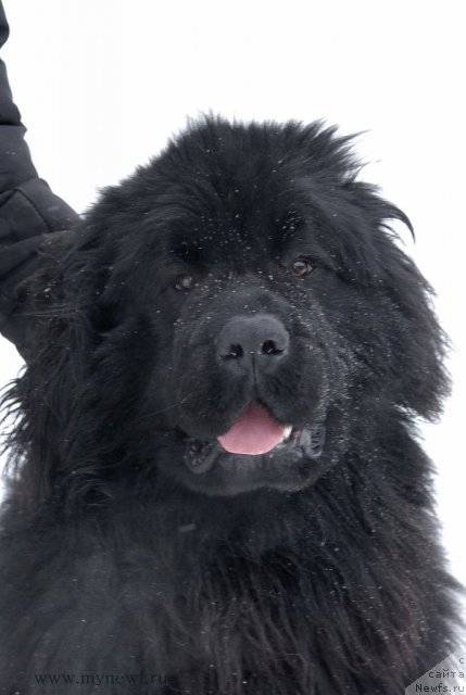 Фотография № 114415