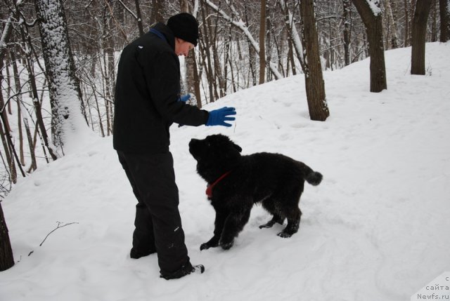 Фотография № 114441