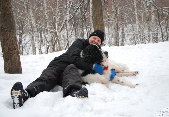 Фотография № 114445