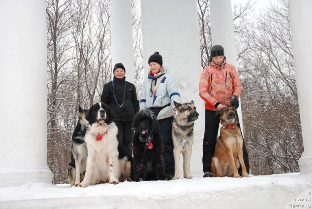 Фотография № 114447