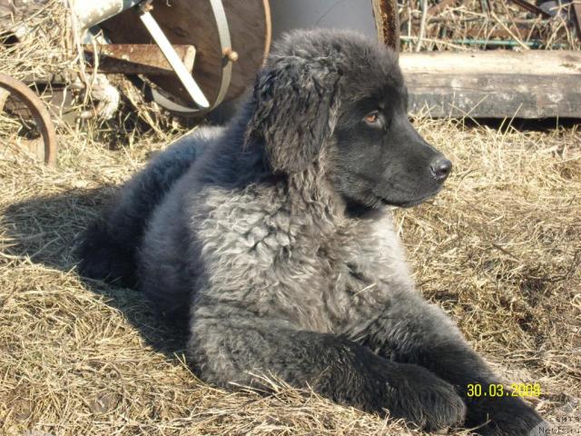 Фото: Владимир Дмитриев