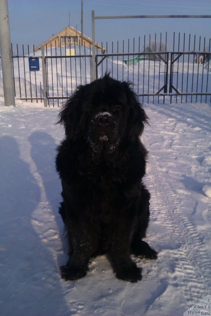 Фото: Андрей Самойленко