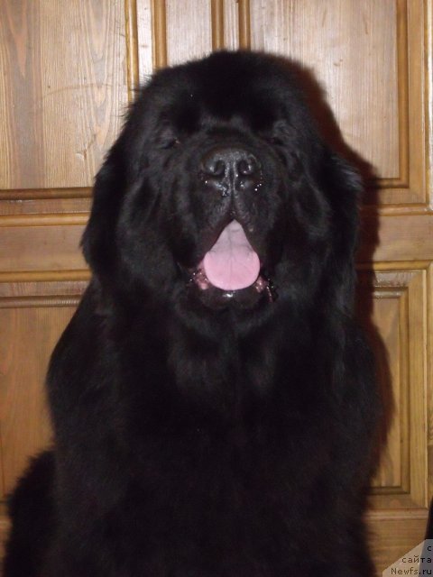 Фотография № 114462