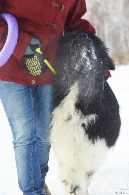 Фотография № 114480