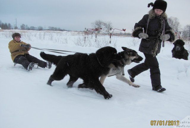 Фотография № 114494