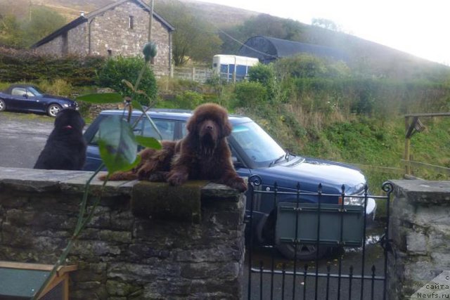 Фотография № 114508