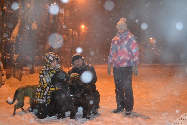 Фотография № 114509