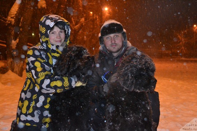 Фотография № 114511