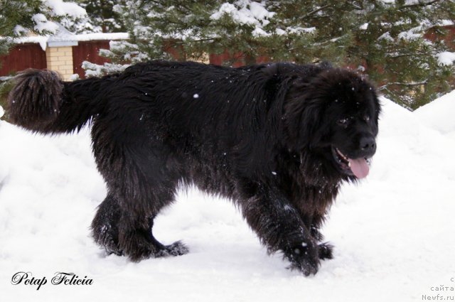 Фотография № 114533