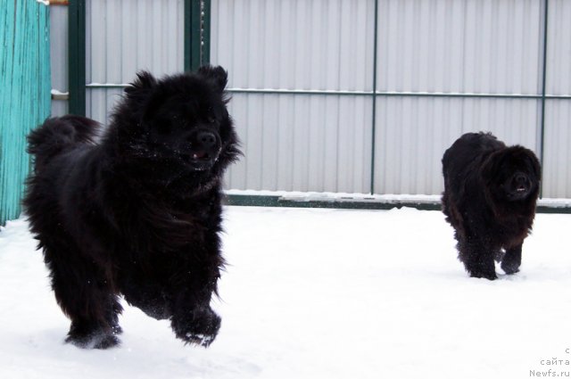 Фотография № 114535