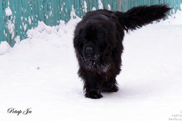 Фотография № 114538