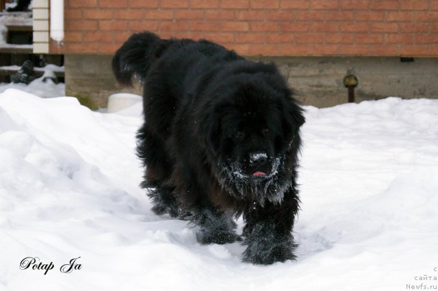 Фотография № 114545