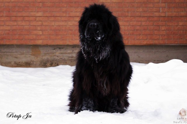 Фотография № 114546