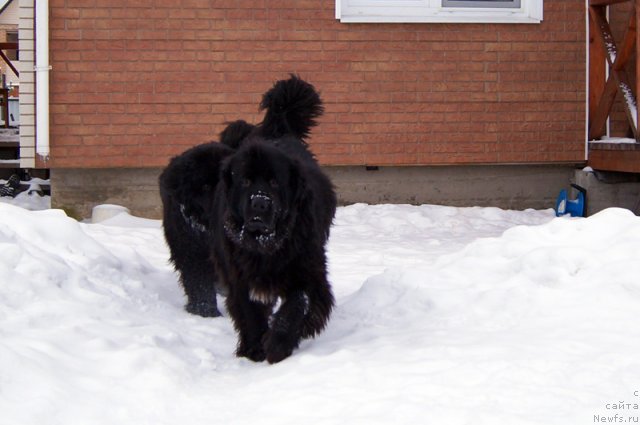 Фотография № 114547