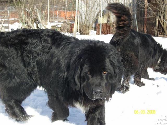 Фото: Владимир Дмитриев