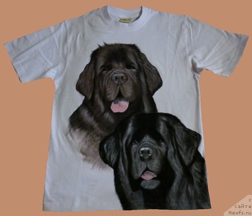 Фотография № 114562